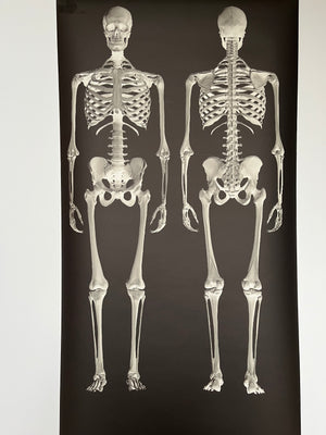 Dem Bones large Skeleton wallpaper