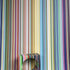 Fine Stripe Wallpaper - Multicoloured