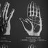 Palm Reading Wallpaper
