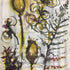 Fern Studies Watercolour Painting