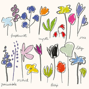 ‘ Colour Flowers’ Greetings Card