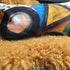 Dance I Cushion