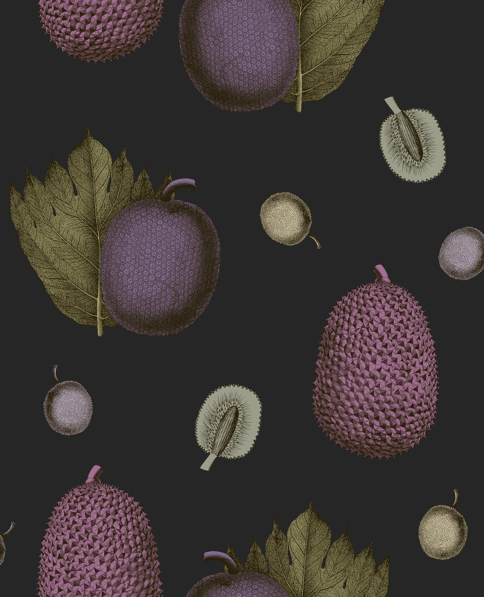 Tropical Fruit Wallpaper - Fig
