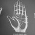 Palm Reading Wallpaper