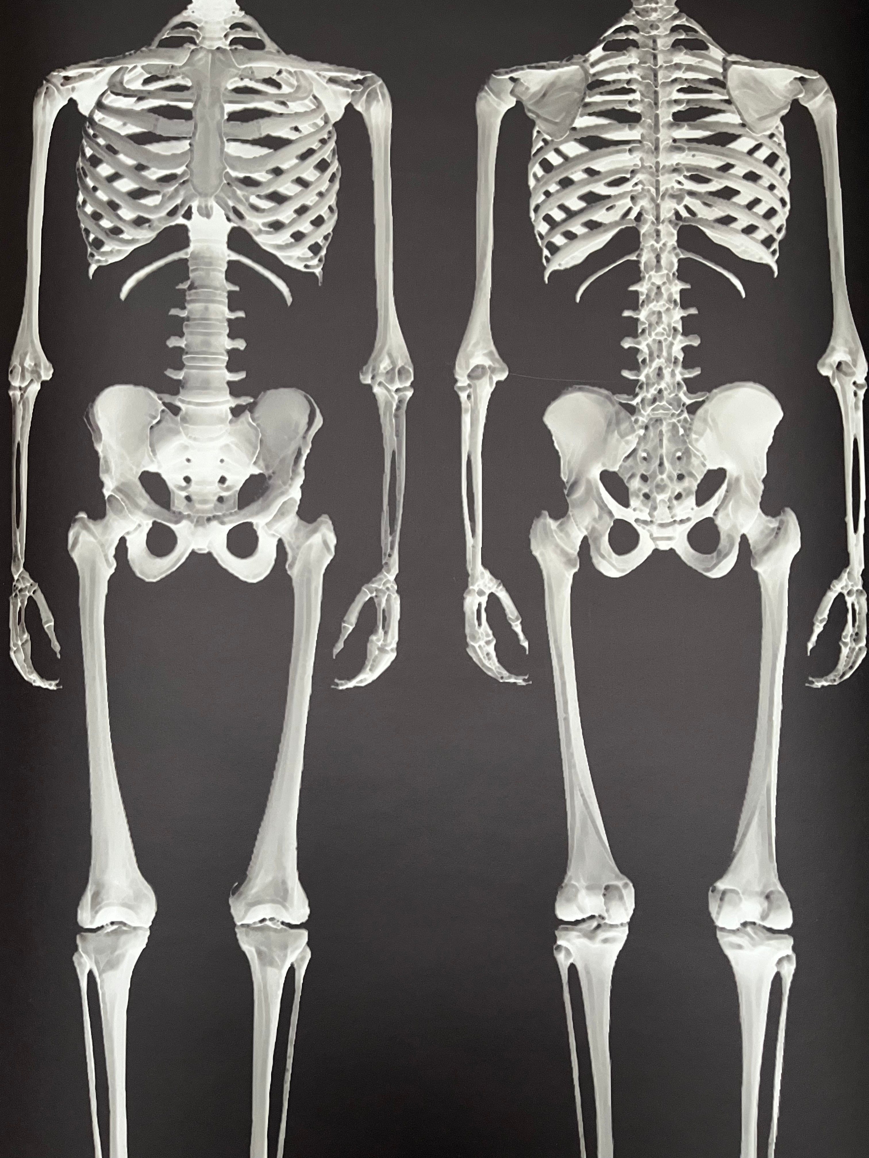 Dem Bones large Skeleton wallpaper