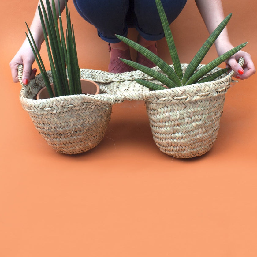 Double Basket