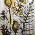 Fern Studies Watercolour Painting