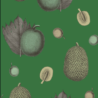 A wallpaper with a large scale tropical fruit design, featuring colors primarily in green and gold, with fine ink pen detail overlays.