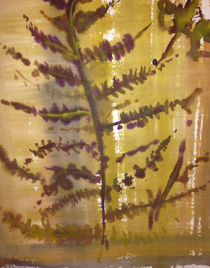 Pressed Fern Watercolour