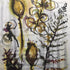 Fern Studies Watercolour Painting