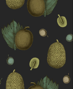 Tropical Fruit Wallpaper - Jackfruit