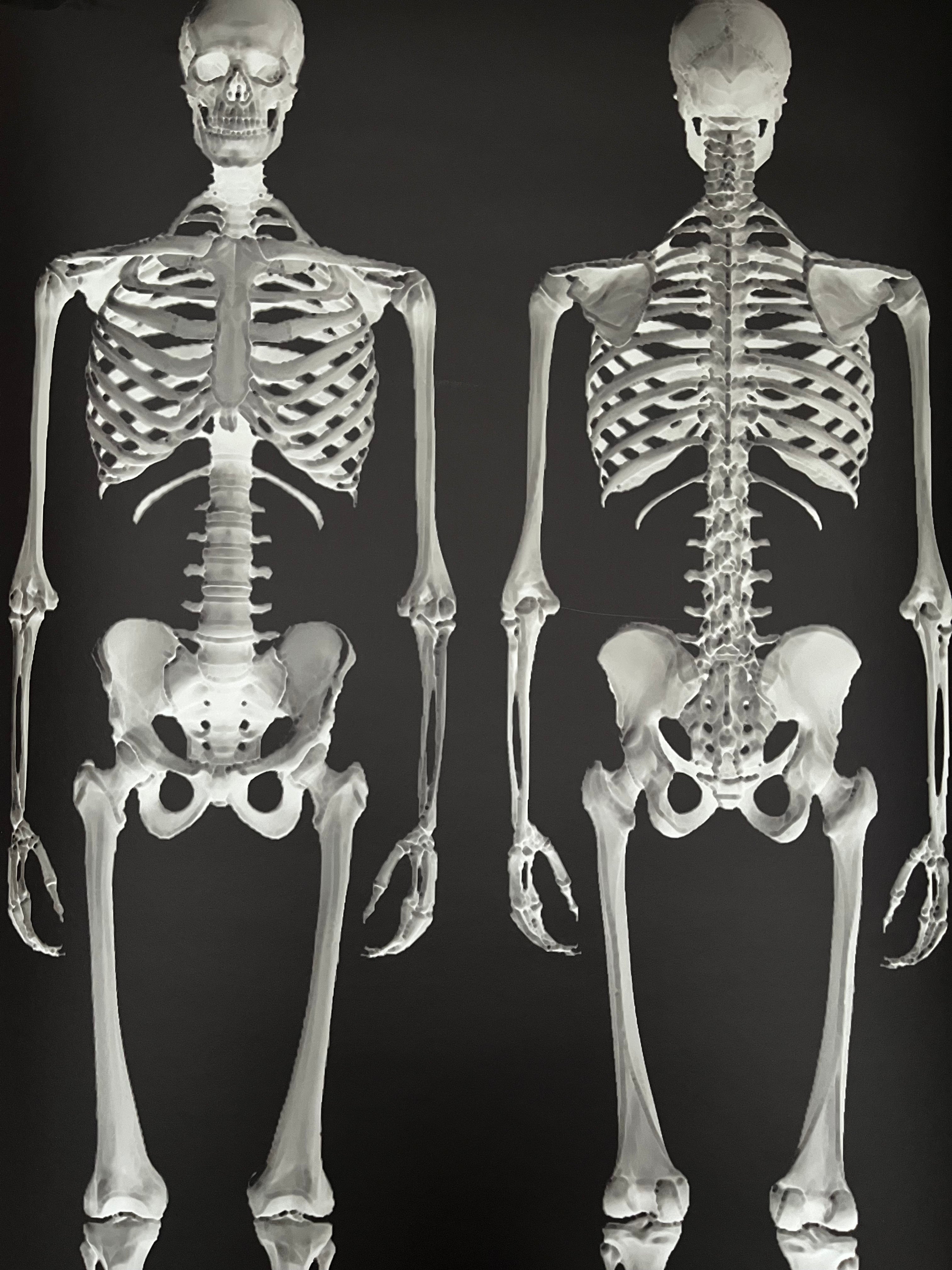 Dem Bones large Skeleton wallpaper