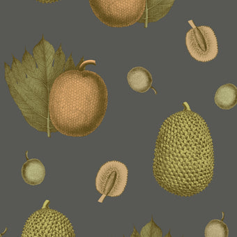 Tropical Fruit Wallpaper - Apricot