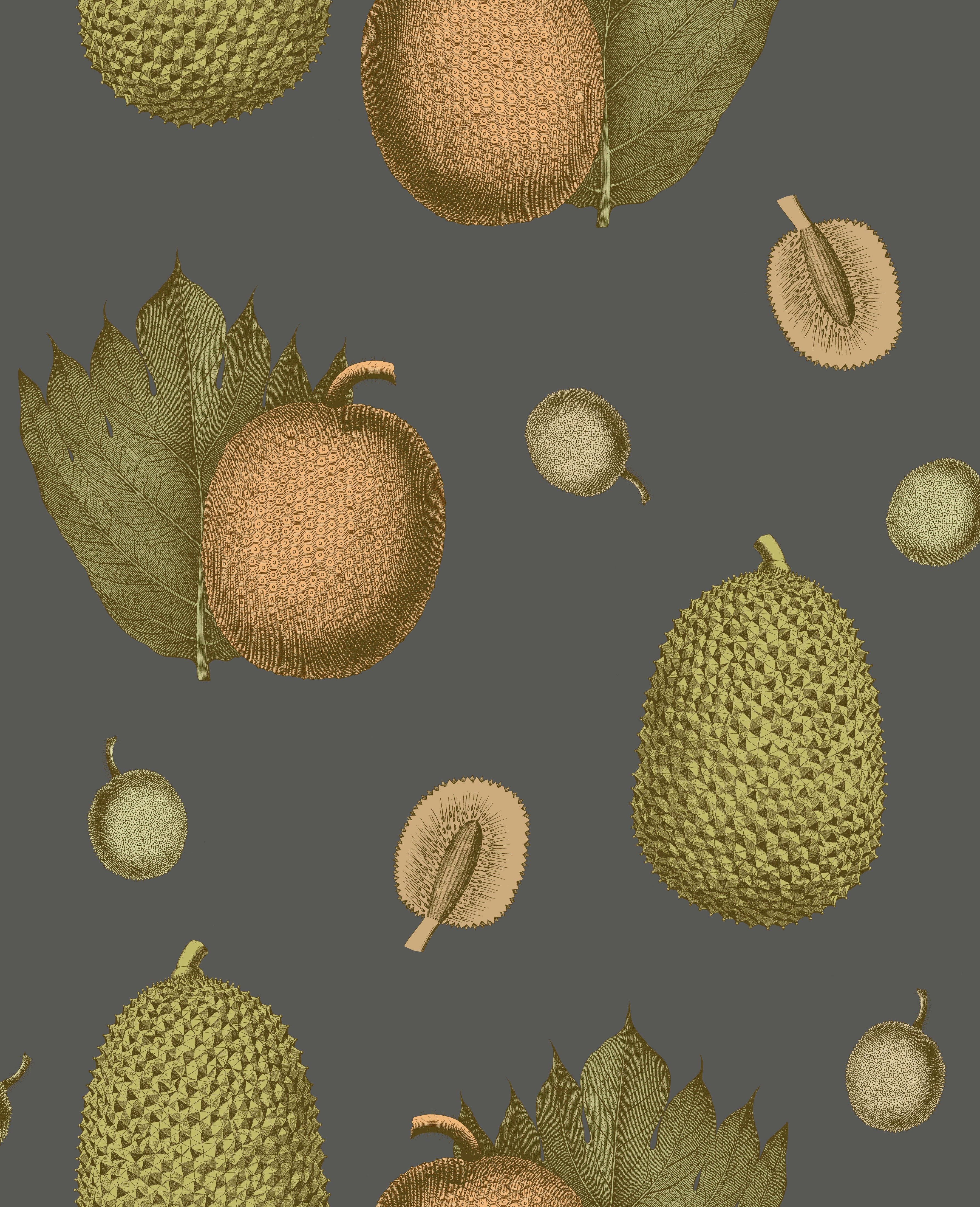 Tropical Fruit Wallpaper - Apricot