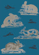 Rabbits Wallpaper