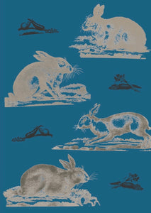 Rabbits Wallpaper