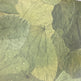 Stitched Leaf Wallpaper