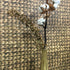 Water Hyacinth Horizontal Wallpaper