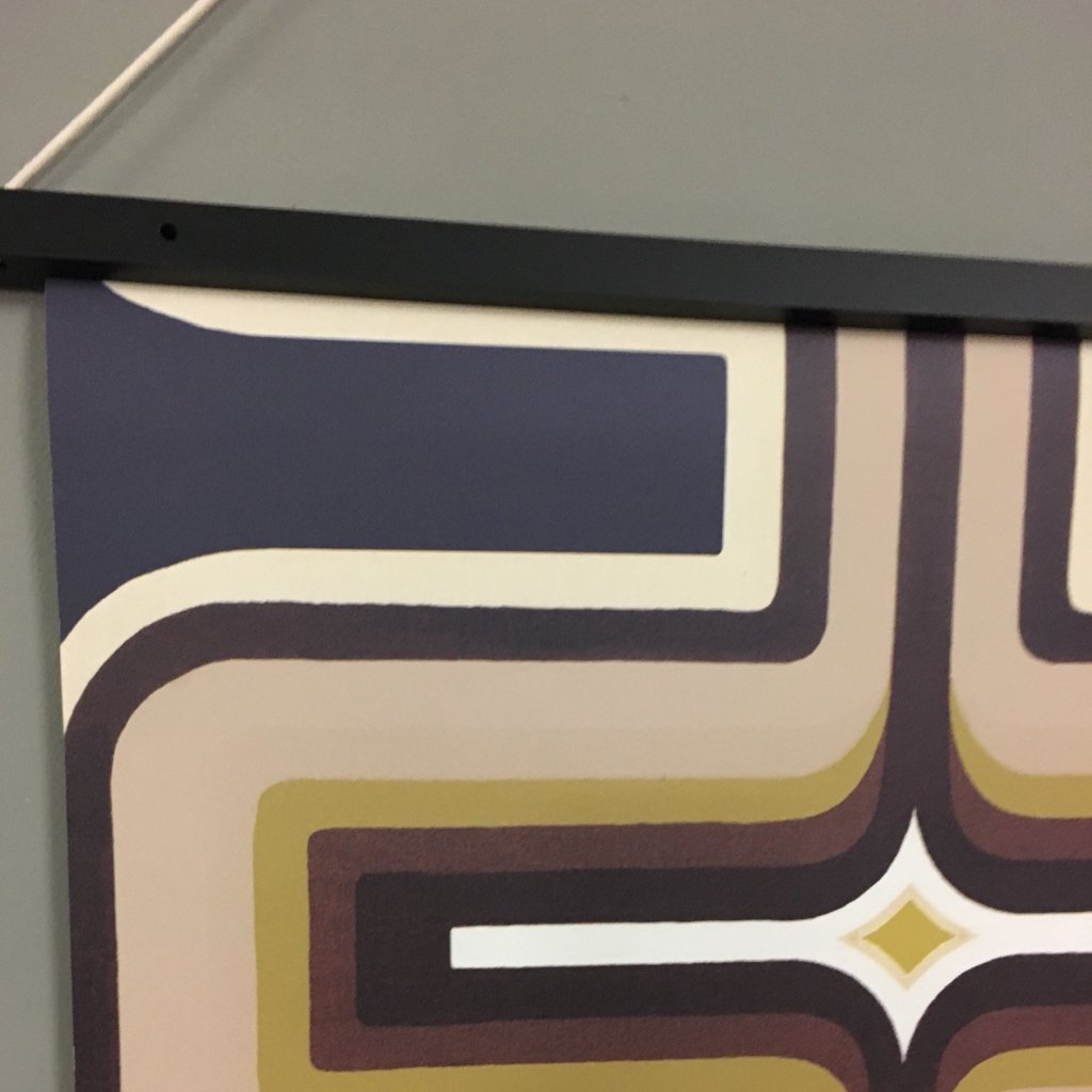 Magnetic print and wallpaper hanger