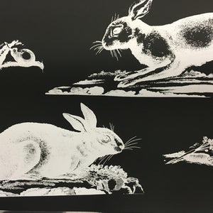 Rabbits Wallpaper - Black + White