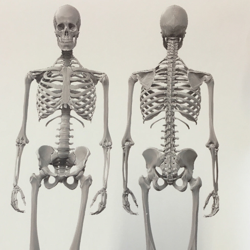 Dem Bones large Skeleton wallpaper